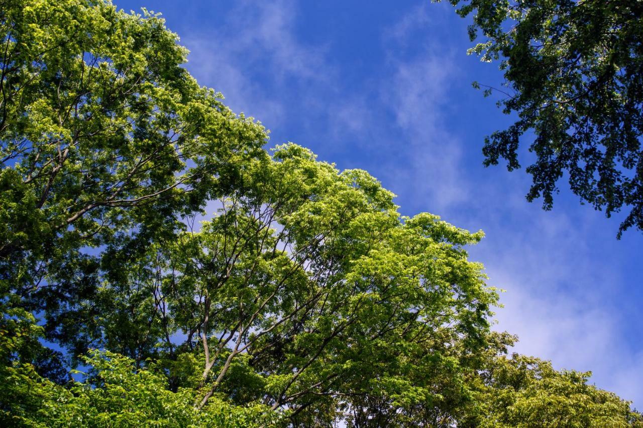 Hauska Karuizawa Saku Exterior foto